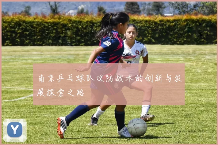 南京乒乓球队攻防战术的创新与发展探索之路