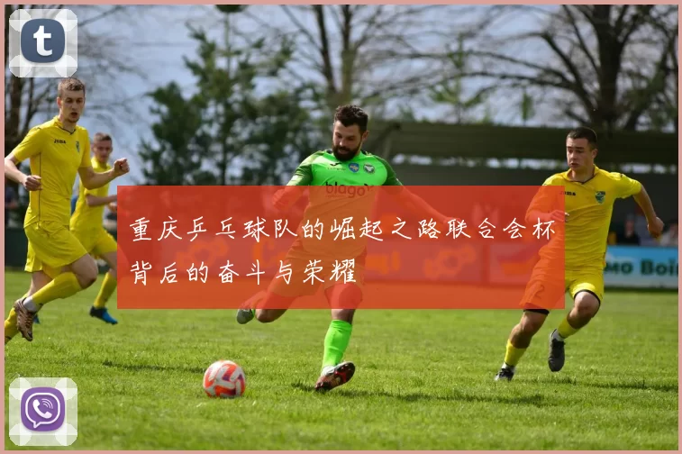 重庆乒乓球队的崛起之路联合会杯背后的奋斗与荣耀