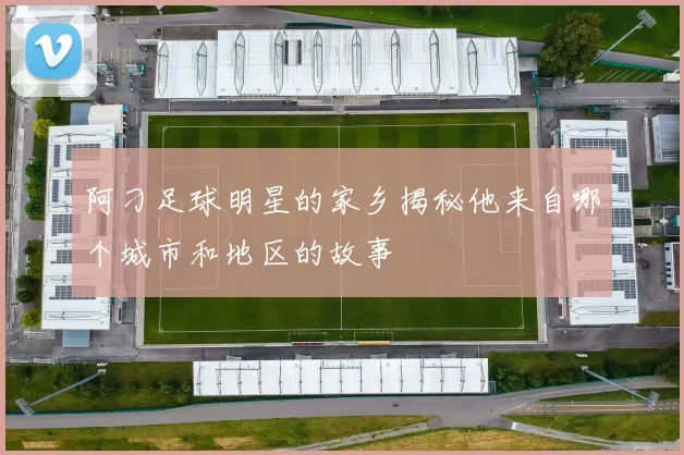 阿刁足球明星的家乡揭秘他来自哪个城市和地区的故事
