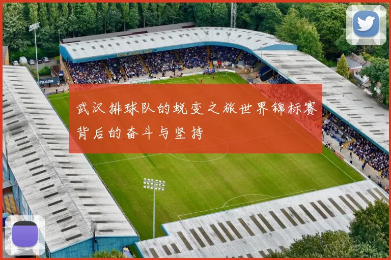 武汉排球队的蜕变之旅世界锦标赛背后的奋斗与坚持