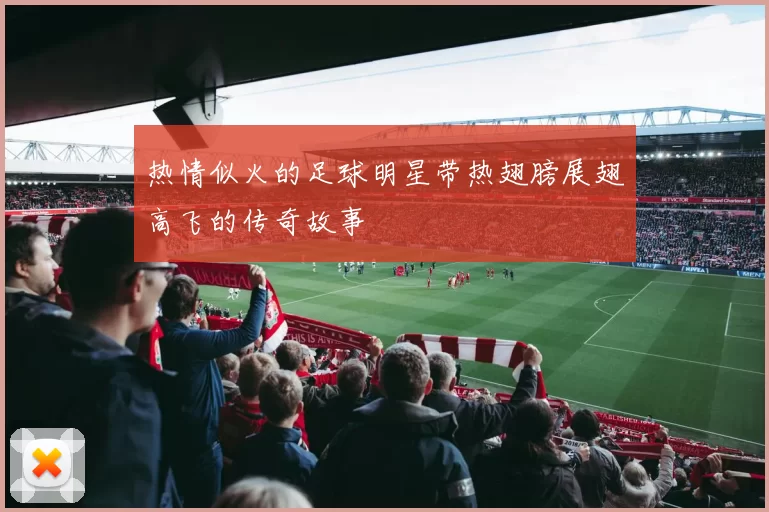热情似火的足球明星带热翅膀展翅高飞的传奇故事