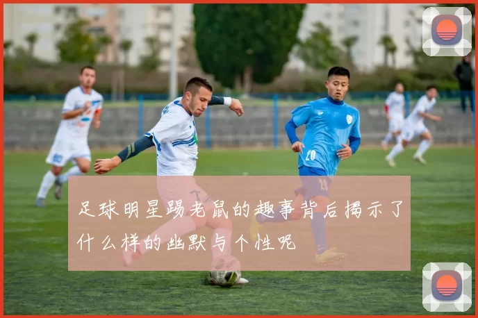 足球明星踢老鼠的趣事背后揭示了什么样的幽默与个性呢