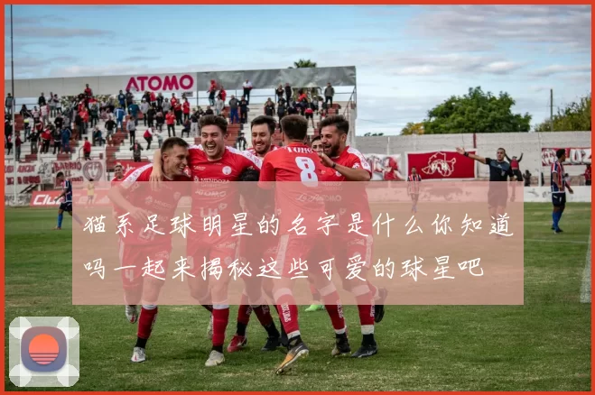 猫系足球明星的名字是什么你知道吗一起来揭秘这些可爱的球星吧