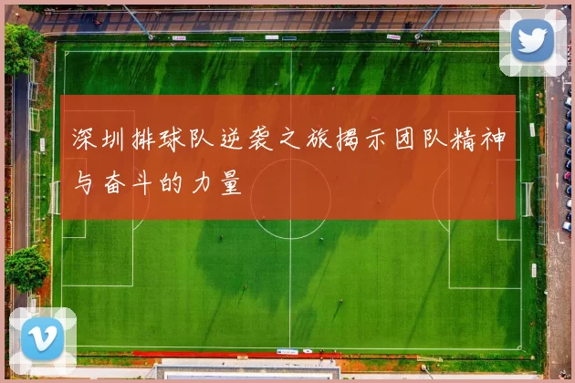 深圳排球队逆袭之旅揭示团队精神与奋斗的力量
