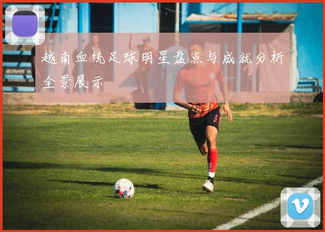 越南血统足球明星盘点与成就分析全景展示