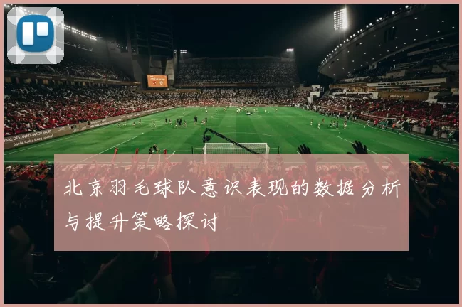 北京羽毛球队意识表现的数据分析与提升策略探讨