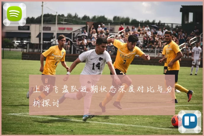 上海飞盘队近期状态深度对比与分析探讨