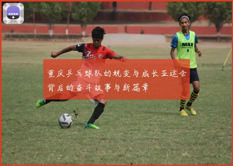 重庆乒乓球队的蜕变与成长亚运会背后的奋斗故事与新篇章